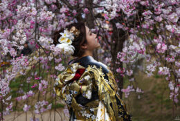 Japan_Sakura_2025 (73/79)